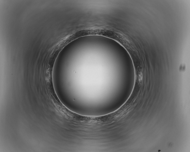 X0000090761204200707201456