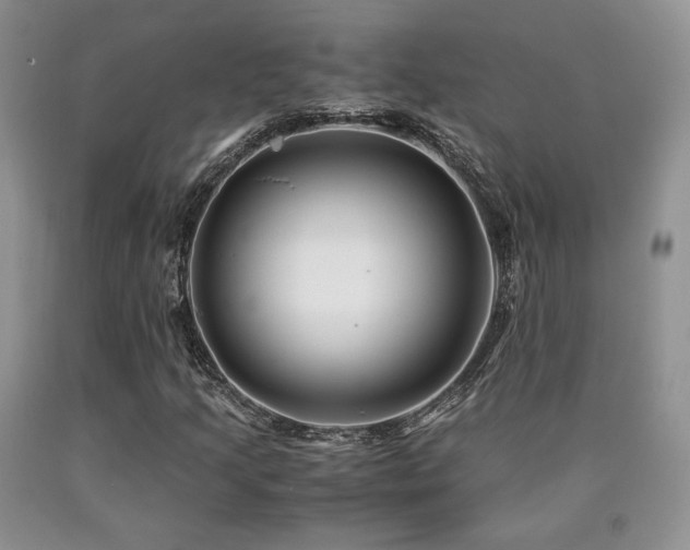 X0000090761205200707201456