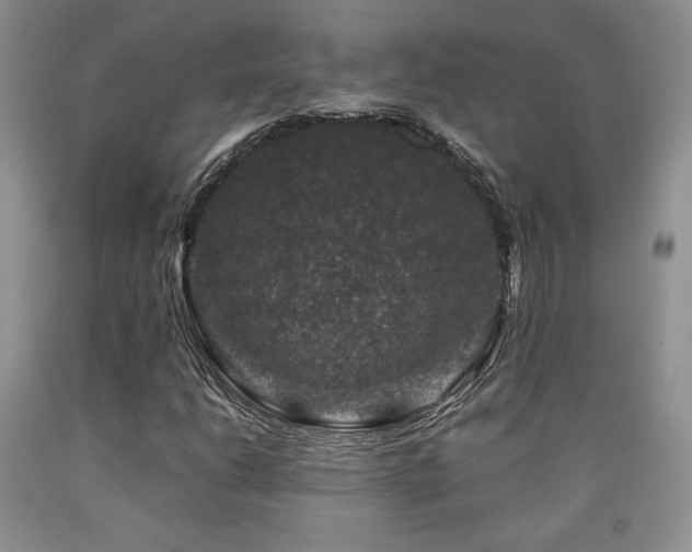 X0000090761206200707201456