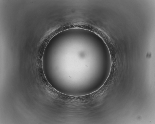 X0000090761207200707201456