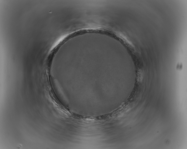 X0000090761208200707201456