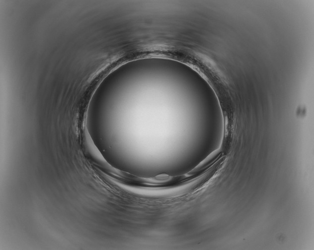 X0000090761209200707201456