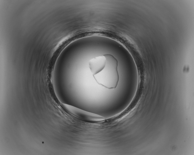 X0000090761210200707201456