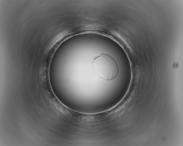 X0000090761211200707201456