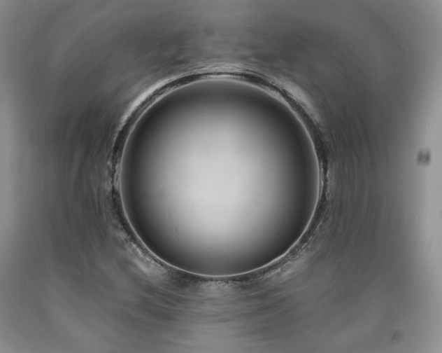 X0000090761212200707201456