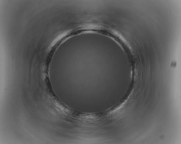 X0000090761213200707201456