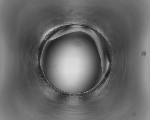 X0000090761214200707201456