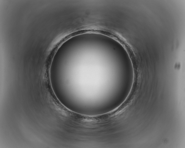 X0000090761215200707201456