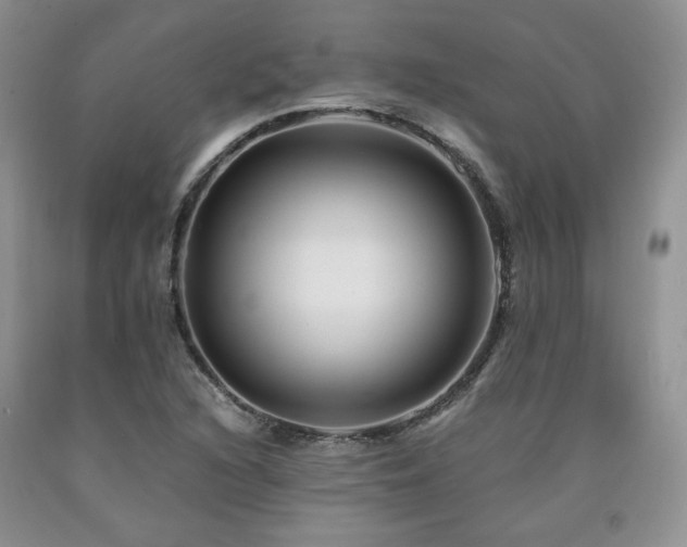 X0000090761216200707201456