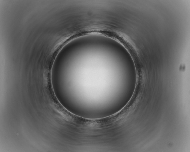 X0000090761217200707201456