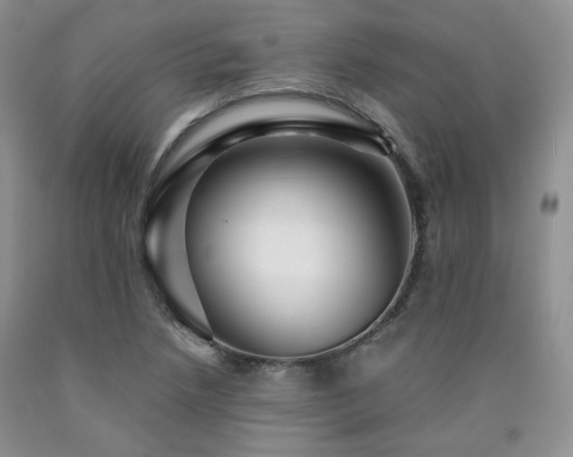 X0000090761218200707201456