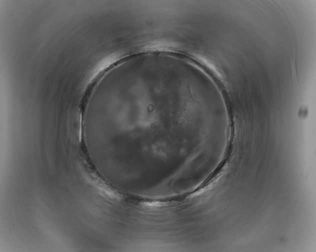 X0000090761219200707201456