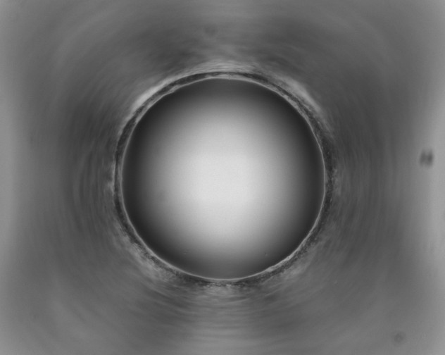 X0000090761220200707201456