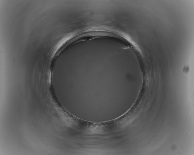 X0000090761221200707201456