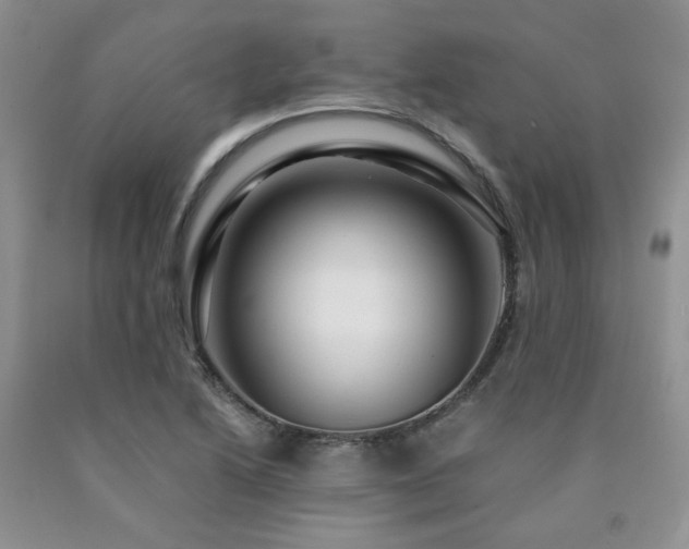 X0000090761222200707201456