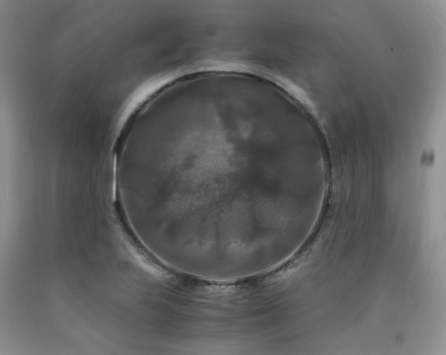 X0000090761223200707201456