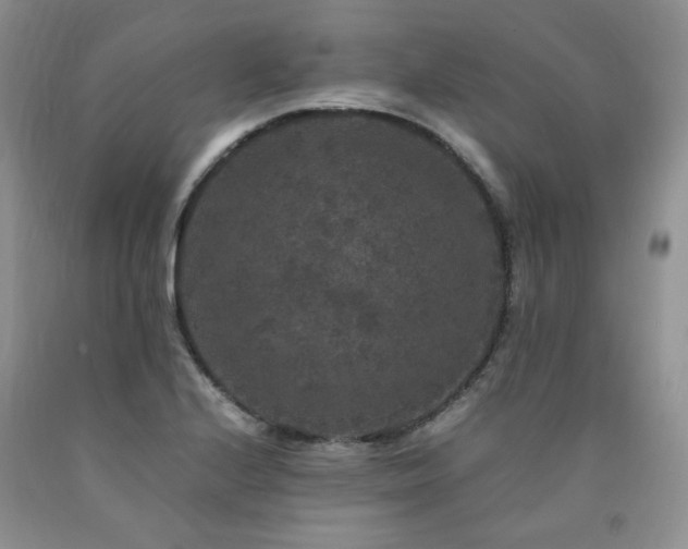 X0000090761224200707201456