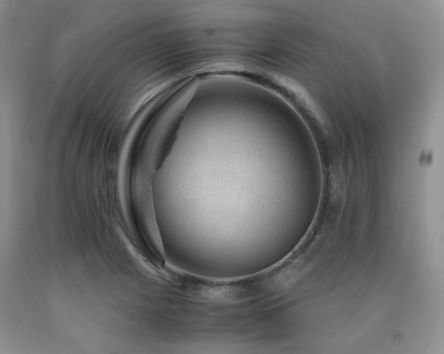 X0000090761225200707201456