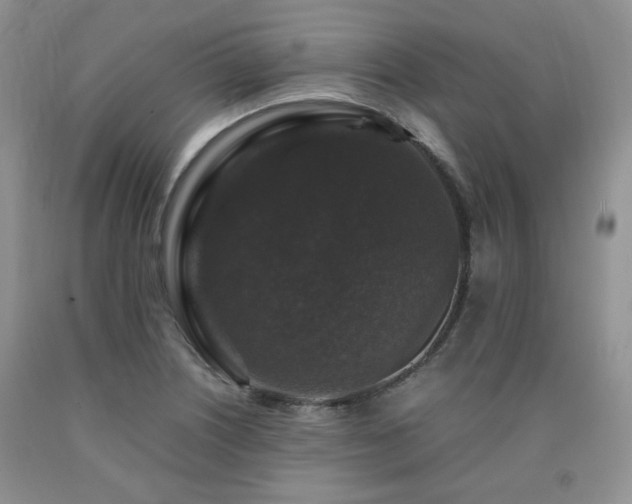 X0000090761226200707201456