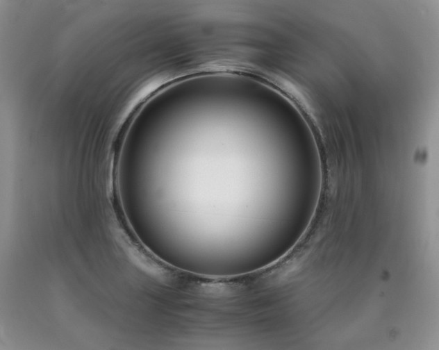 X0000090761227200707201456