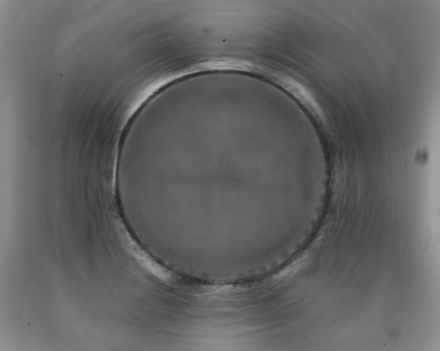 X0000090761228200707201456