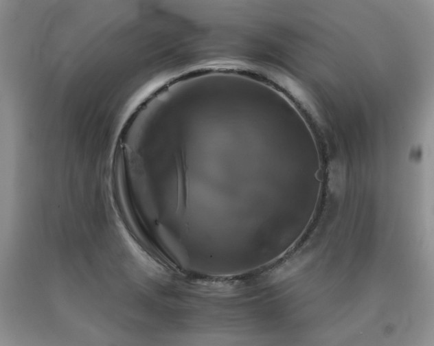 X0000090761229200707201457