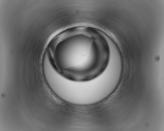 X0000090761230200707201457