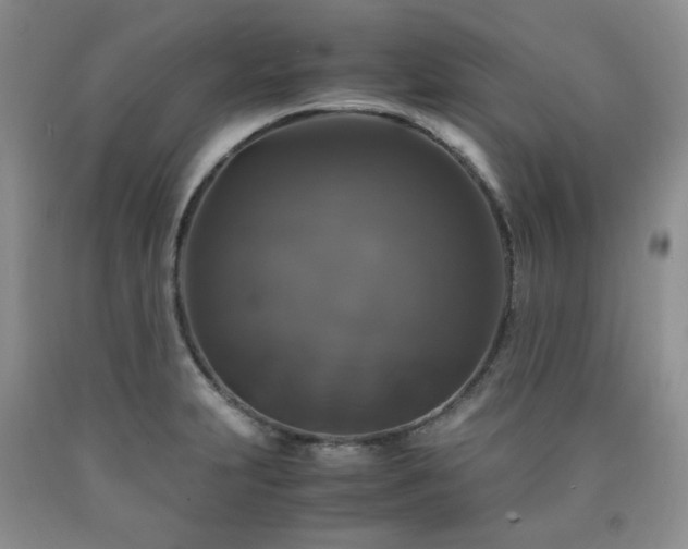 X0000090761231200707201457