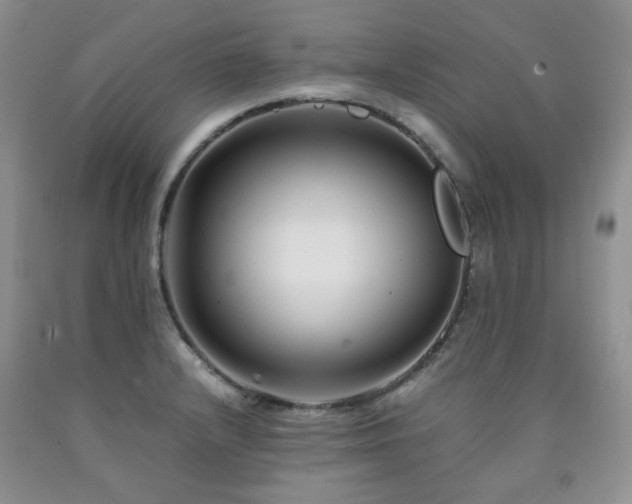 X0000090761232200707201457