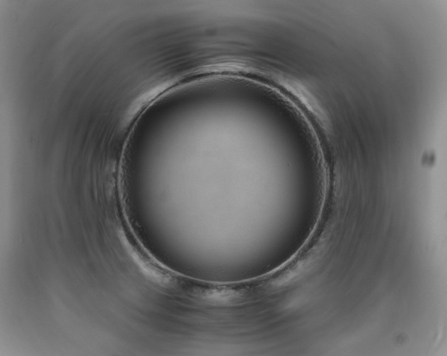 X0000090761233200707201457