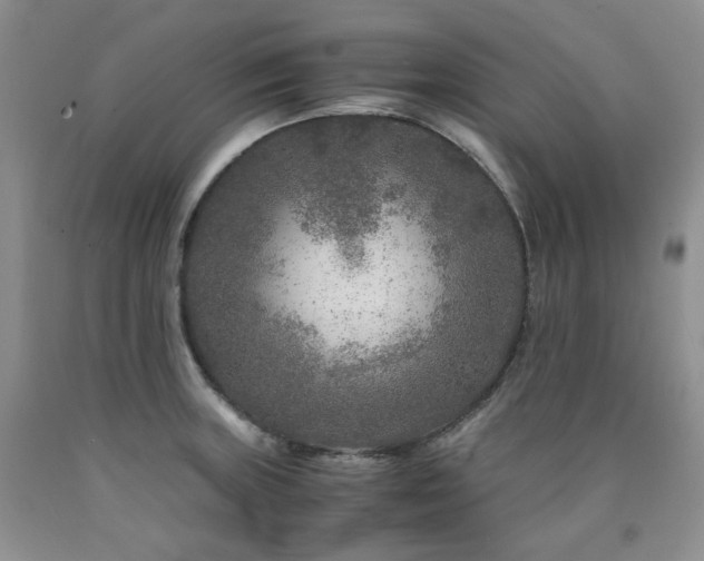 X0000090761235200707201457