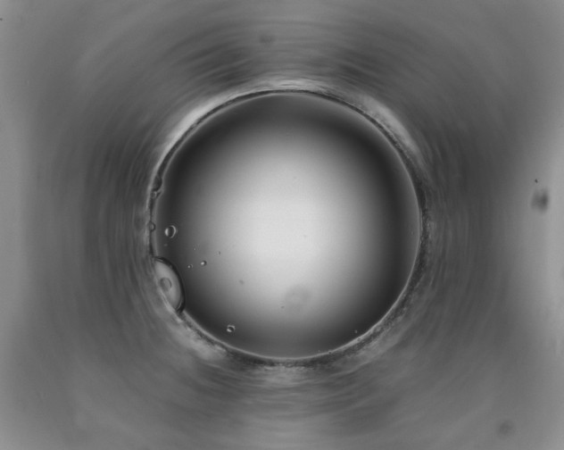 X0000090761236200707201457