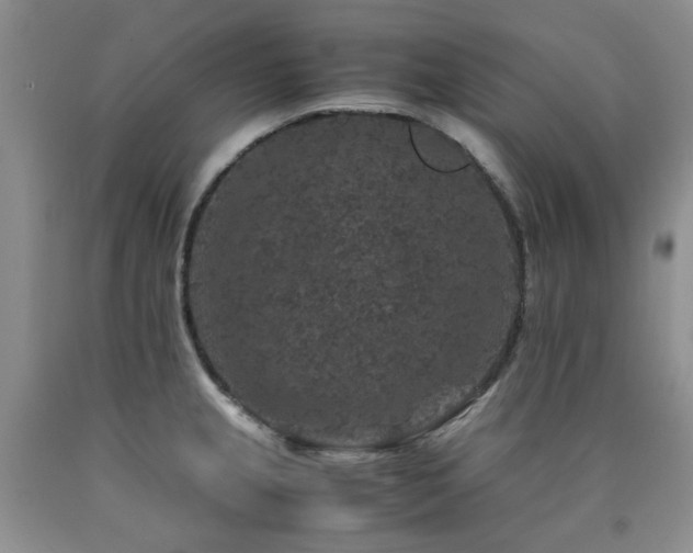 X0000090761237200707201457