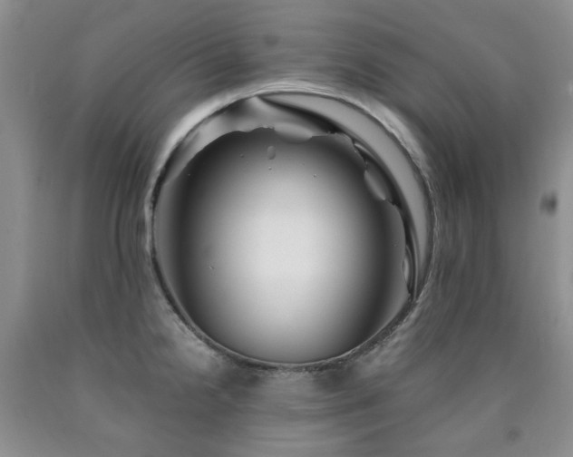 X0000090761238200707201457