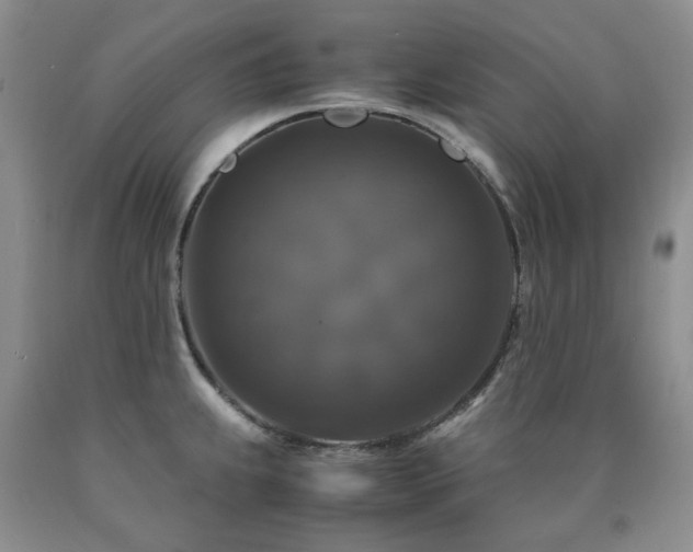 X0000090761239200707201457