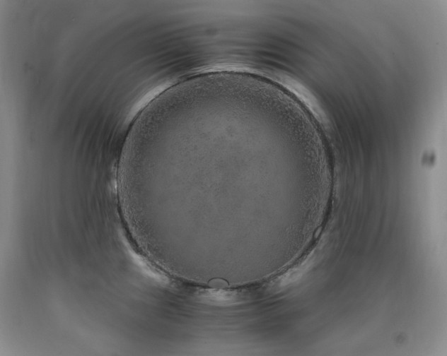 X0000090761241200707201457