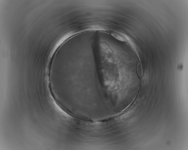 X0000090761243200707201457