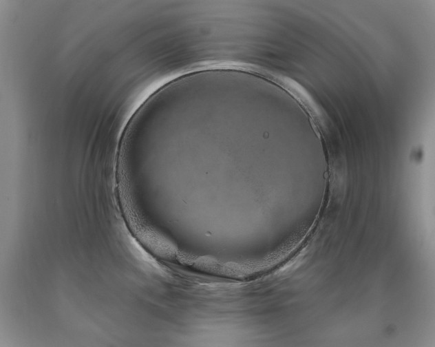 X0000090761244200707201457