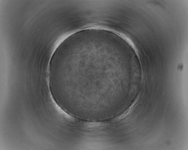 X0000090761247200707201457