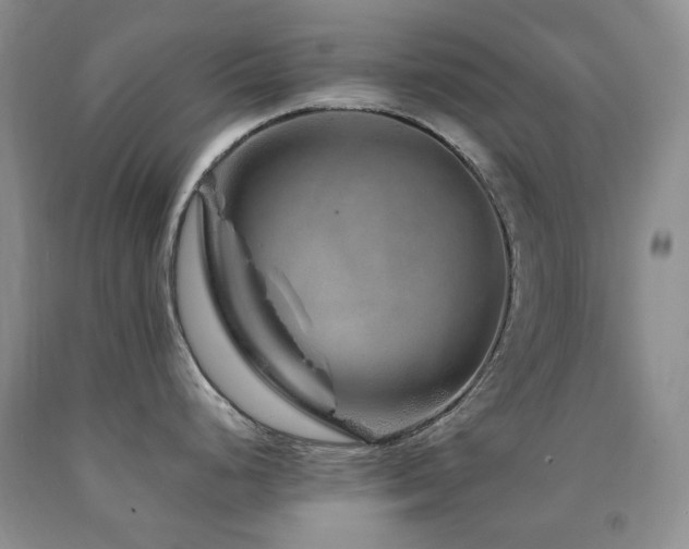 X0000090761248200707201457