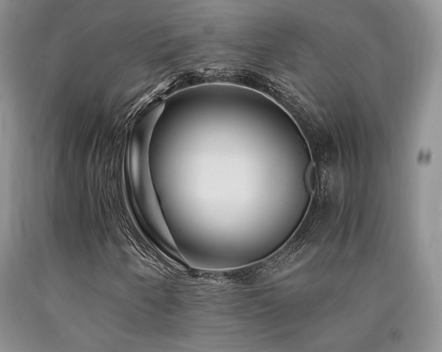 X0000090761250200707201456