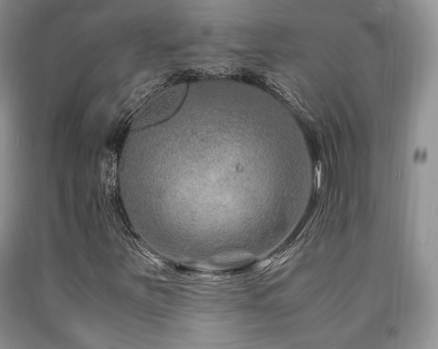 X0000090761251200707201456