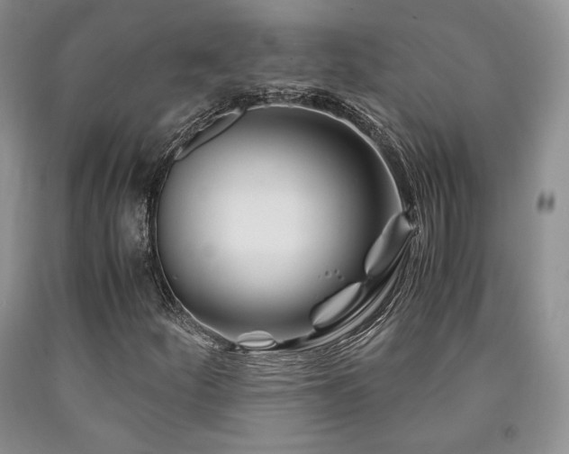 X0000090761252200707201456