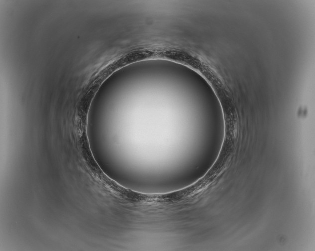 X0000090761253200707201456