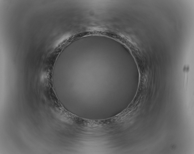 X0000090761254200707201456