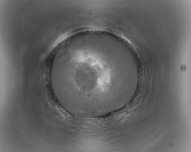 X0000090761255200707201456