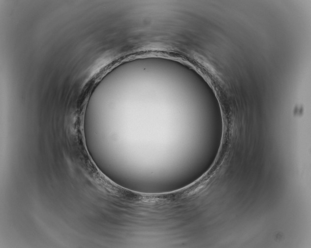 X0000090761258200707201456