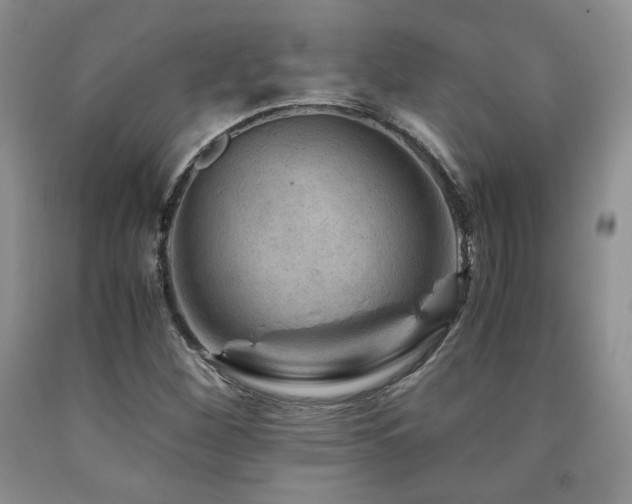 X0000090761260200707201456