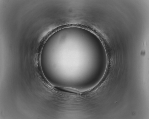 X0000090761262200707201456