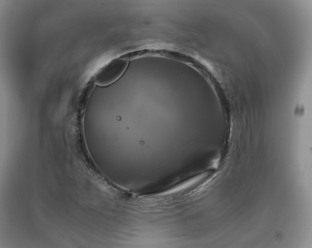 X0000090761263200707201456